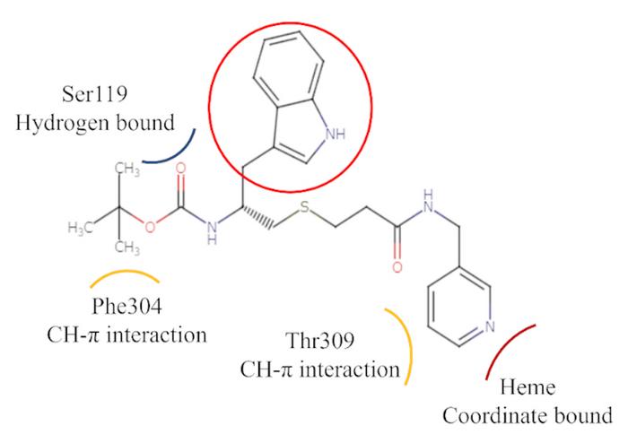 Key Interactions and Substitution Site (Red Circle) Between Existing Inhibitor 15b and CYP Residues