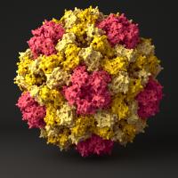 CCMV Viral Capsid