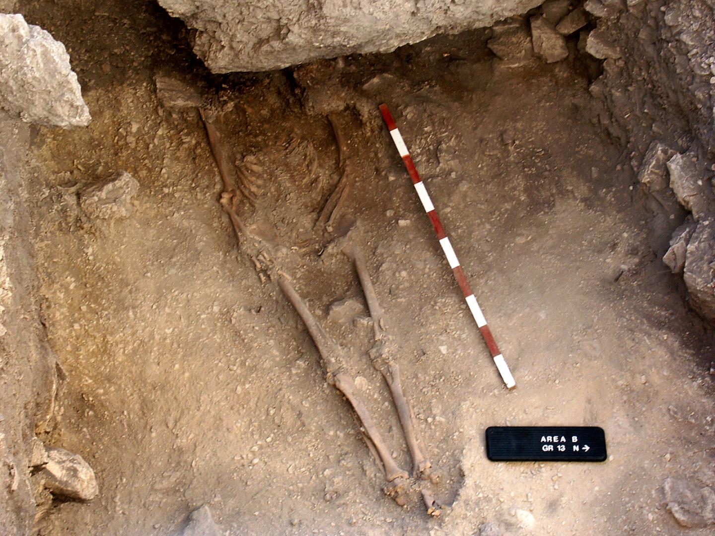 Anatolian Hunter-Gatherer