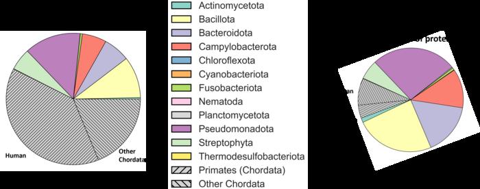 Origin of proteins found in wastewater (Delft and Utrecht averaged)
