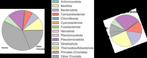 Origin of proteins found in wastewater (Delft and Utrecht averaged)