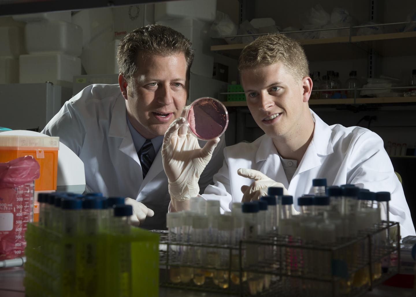 MRSA Research