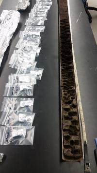 Extracting Samples from the Core
