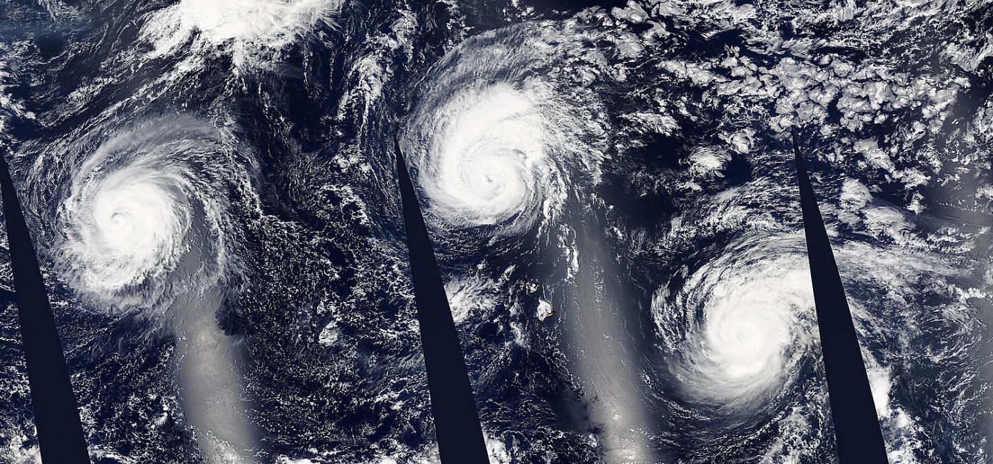 MODIS Image of Jimena, Ignacio and Kilo