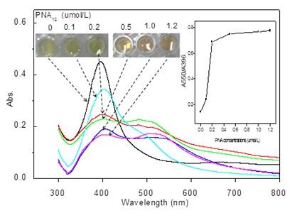Fig. 1: AgNP Solutions