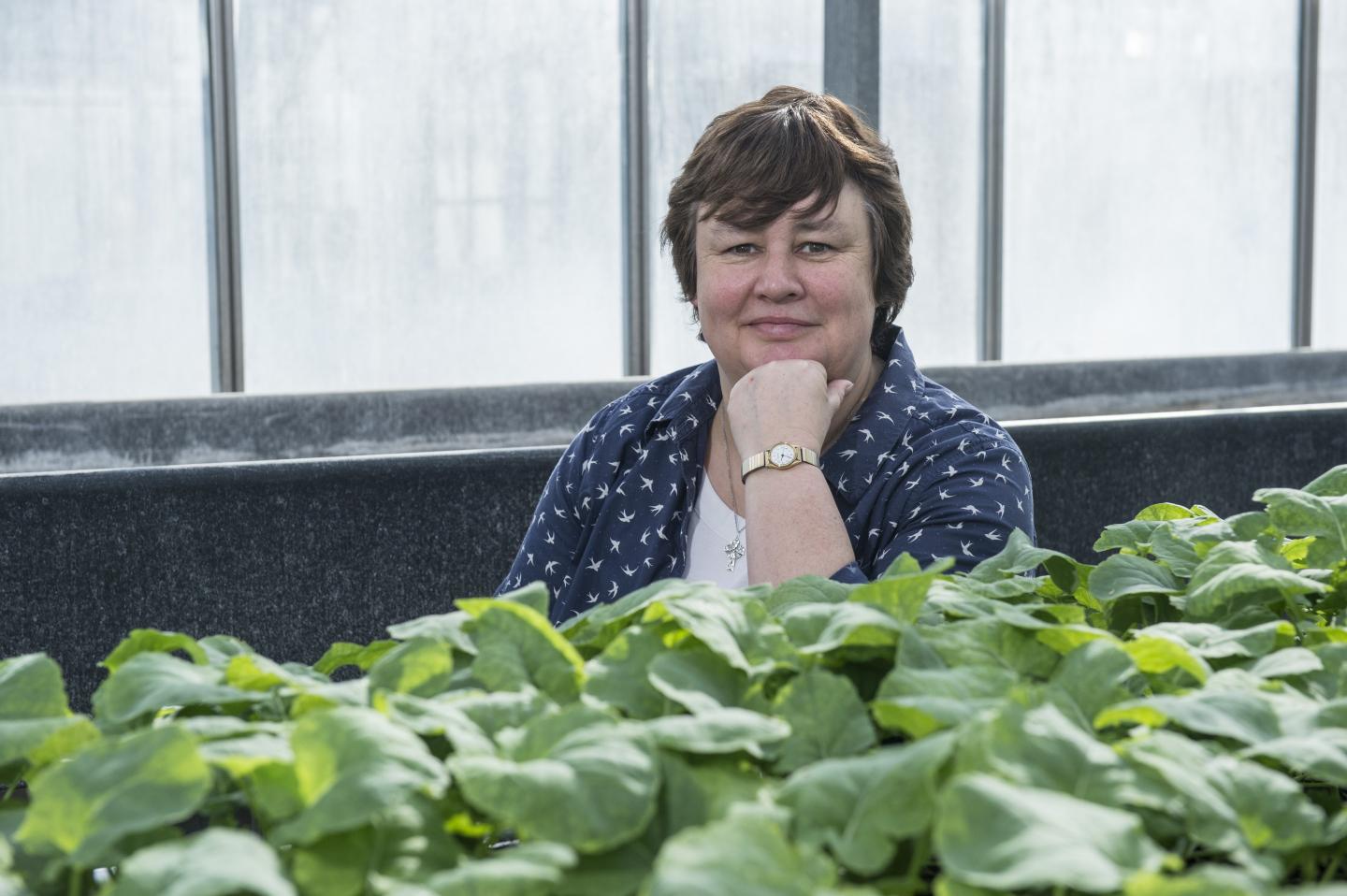 Dr. Judith Irwin, The John Innes Centre
