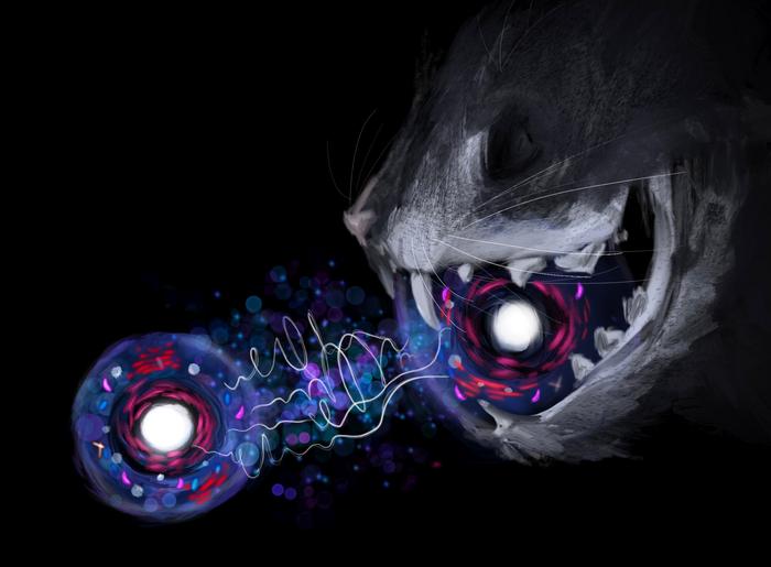 A Quantum Cat
