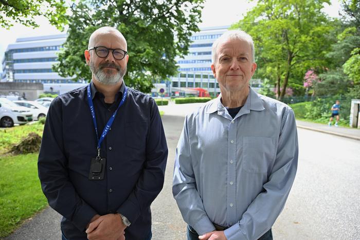 researchers from uib and norce