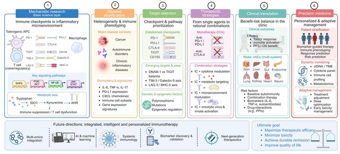 Translational roadmap for checkpoint-targeted precision immunotherapy