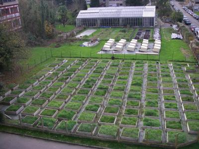 Clonal Plant Community in France