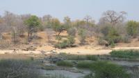 Picrite lava outcrops at the Luenha River, Central Mozambique.