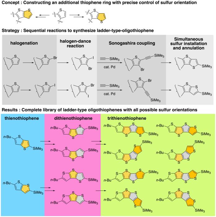 Building molecular ladders for next-generation organic electronic materials
