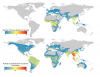 Map of Predicted Additional Filovirus-Positive Bat Species