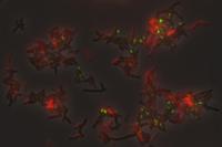 Actinobacteria-TM7