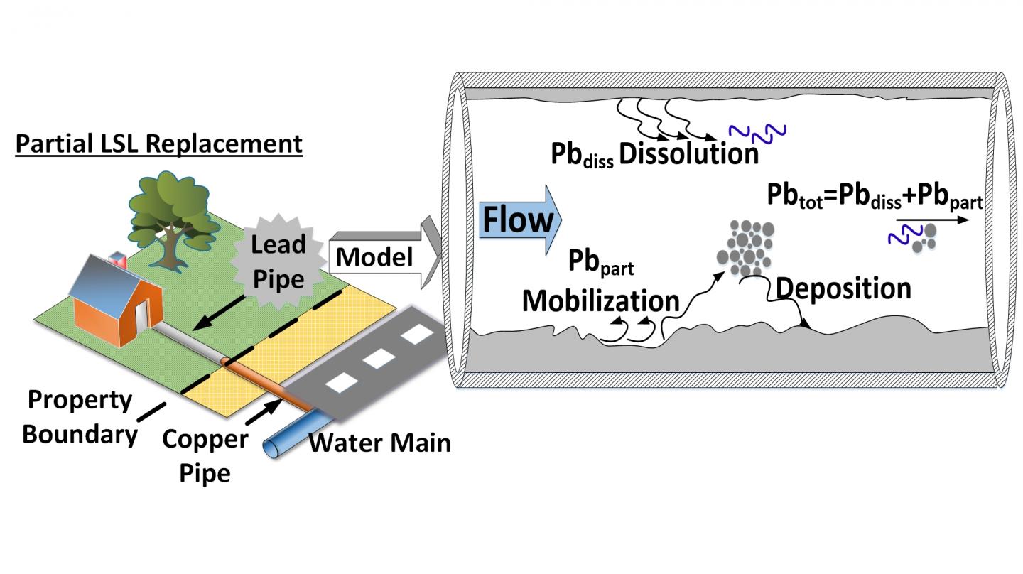 Partial Lead Pipe Replacement Model