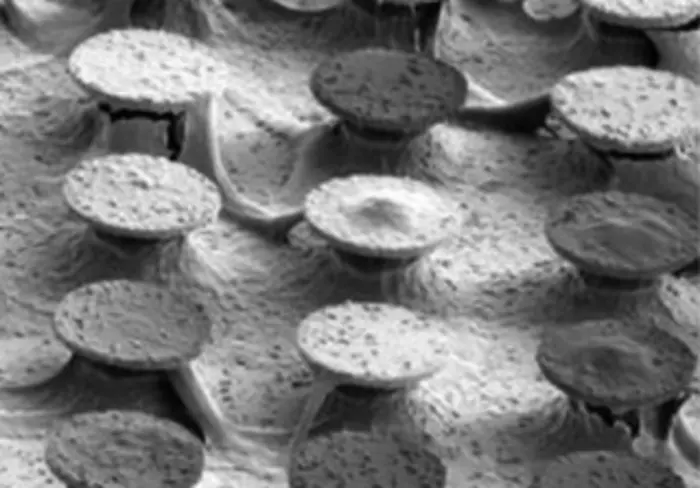 Re-entrant microstructures.