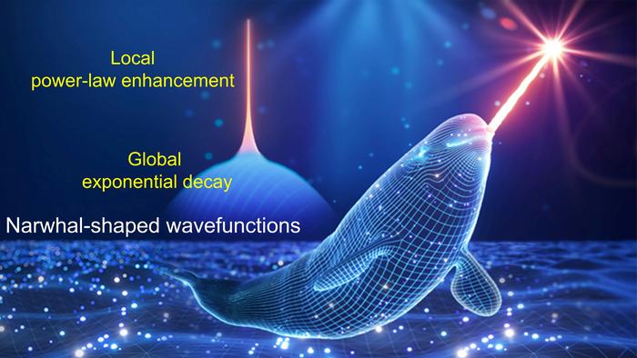 Figure 1 | Narwhal-shaped wavefunction.