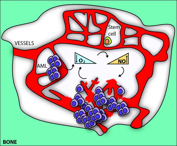 Research Graphic