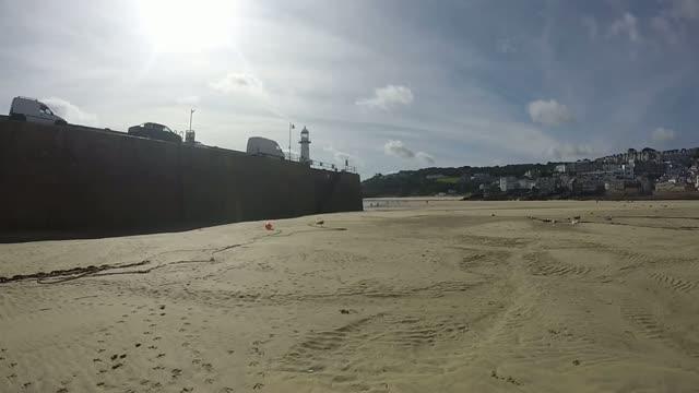 Herring Gull Experiment