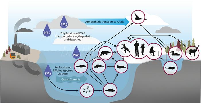 PFAS atmospheric transport