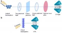 Figure 1 Methods for generating circularly polarized light.