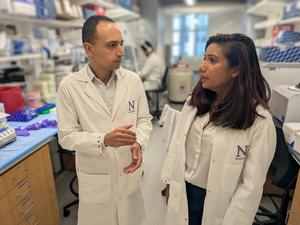 Study authors Abdel-Mohsen and Pratima Saini in Abdel-Mohsen's lab