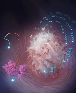 The new drug carrier (shown as blue-red strands) is split by an enzyme (purple structure), delivering the therapeutic (blue spheres) to a cancerous cell.