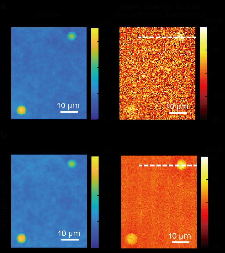 Demonstration of Dynamic-Range Expansion by ADRIFT-QPI
