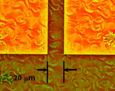 Directed Self-Ordering of Organic Molecules for Electronic Devices (1 of 2)