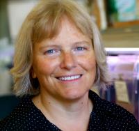 Cherie Briggs, University of California - Santa Barbara