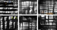TEM Micrographs