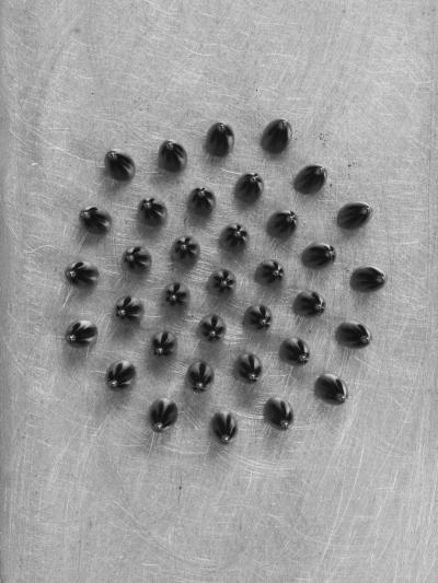 Dynamic Magnetic Field Provides a Switch between States (6 of 6)