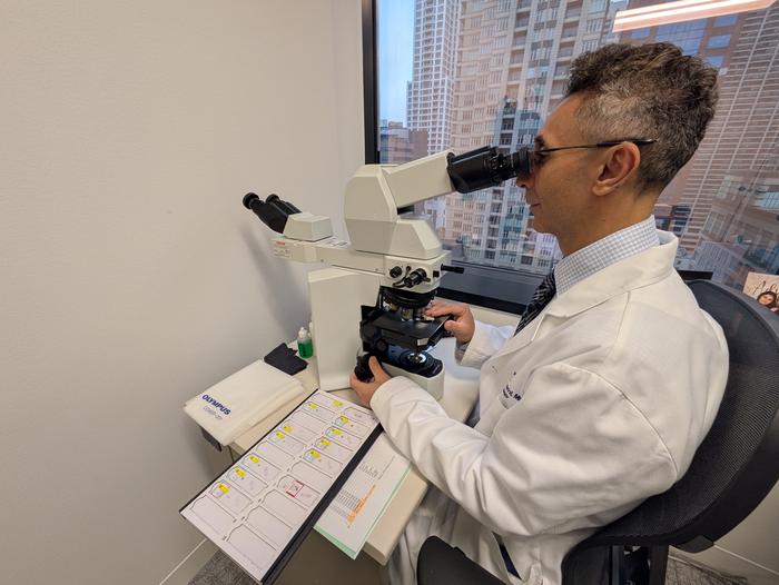 Dr. Pedram Gerami looking at a skin biopsy in his office