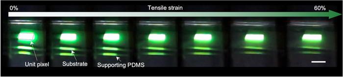Figure 4. Photographs of the fully stretchable OLEDs on a supporting PDMS substrate with increasing tensile strain up to 60%