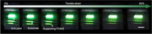 Figure 4. Photographs of the fully stretchable OLEDs on a supporting PDMS substrate with increasing tensile strain up to 60%