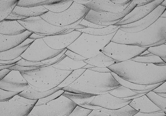 Microscope image of a new 3D-printed aluminum alloy
