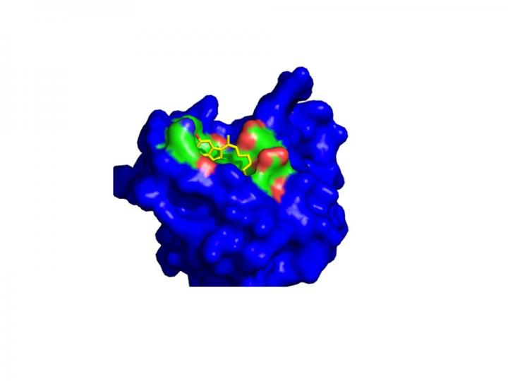 Theoretical Binding