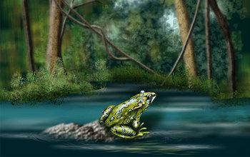 Frog