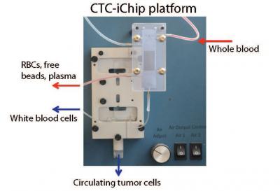 CTC-iChip