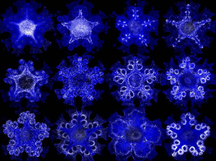 Gene expression patchwork