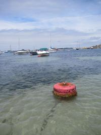 Seagrass Research