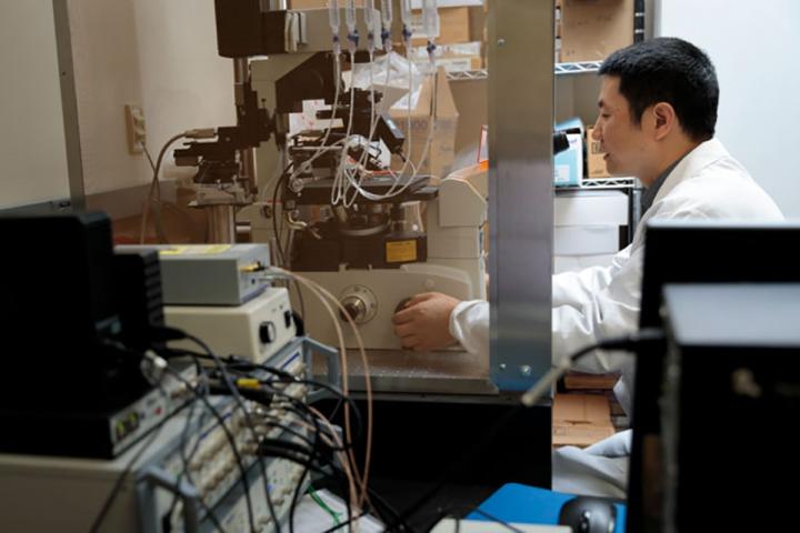 Hu in the Lab