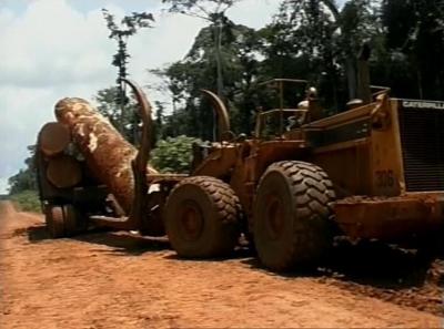 Timber in the Republic of Congo (2 of 3)