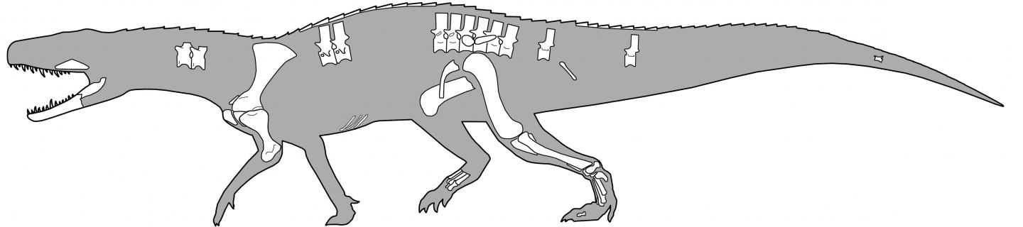 Reptile Rendering