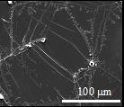 Protein Nanosheets Assembled at Liquid-liquid Interfaces
