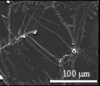 Protein Nanosheets Assembled at Liquid-liquid Interfaces