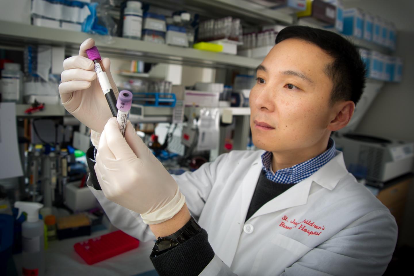 Jun Yang, Ph.D., senior author, St. Jude Children's Research Hospital