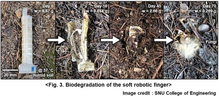 Fig. 3. Biodegradation of the soft robotic finger