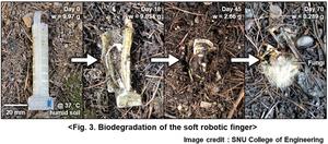 Fig. 3. Biodegradation of the soft robotic finger