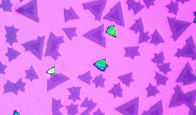 Optical Image